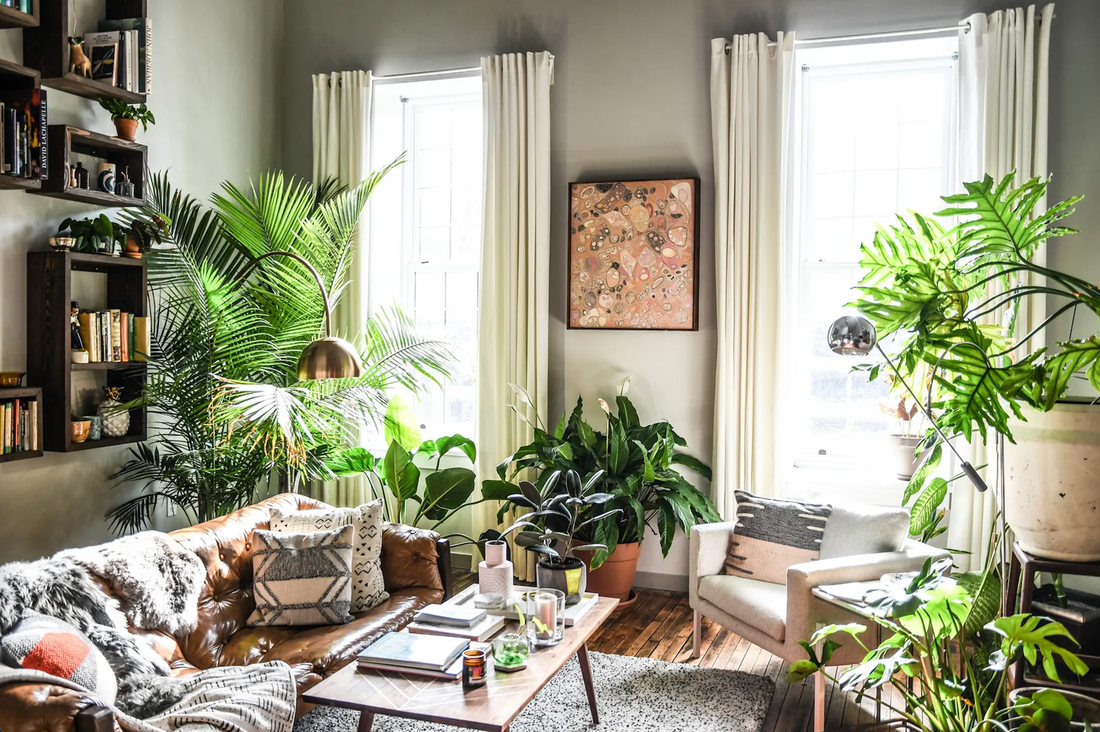 Urban Jungle